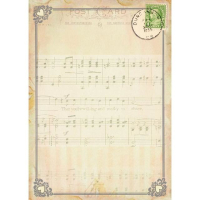 Memory Place Forest Friends Cards Set (MP-58685) ( MP-58685)